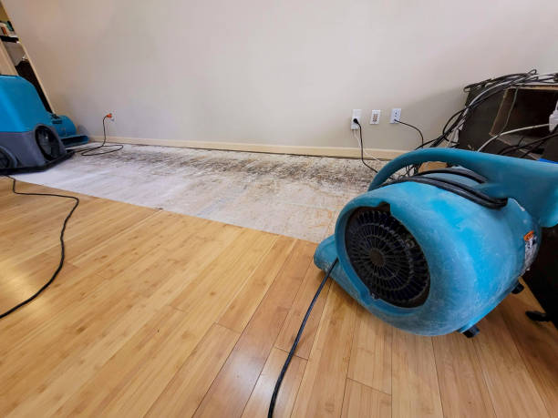 Professional Flood Damage Cleanup technician working in Windsor, CO